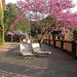Masia Vista Hermosa
